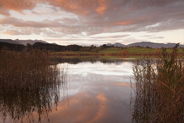 Sunrise at Froschhausersee lake