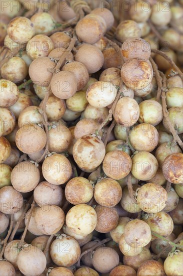 Longan fruits on display at a market