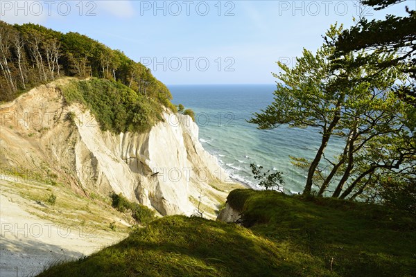 The chalk cliffs of Mons Klint
