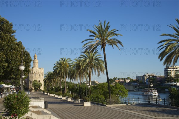 Torre del Oro on the waterfront of the Rio Guadalquivir