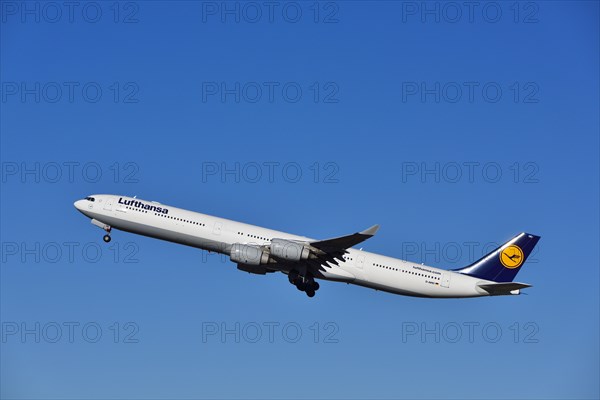 Lufthansa Airbus A 340-600 taking off