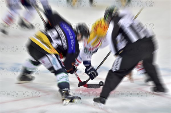 Hockey players at face-off with linesman