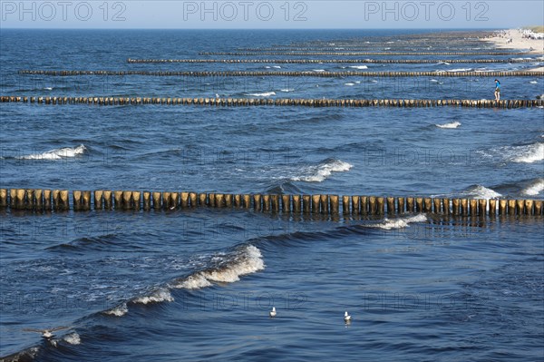 Baltic Sea beach with groynes