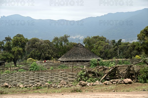 Traditional round built Bale-house surrounded by a braided bamboo fence