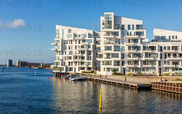 Havneholmen