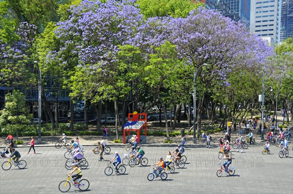 Cyclists on the main street Paseo de Reforma