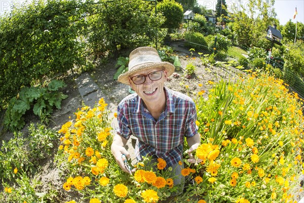 Gardener