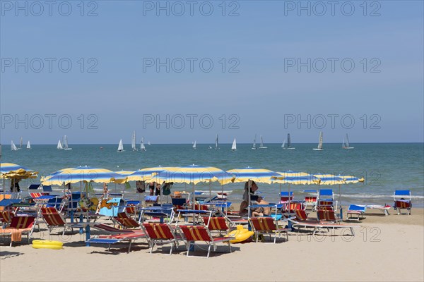 People sunbathing on the beach