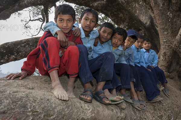 Nepalese students wearing school uniforms sitting on a tree