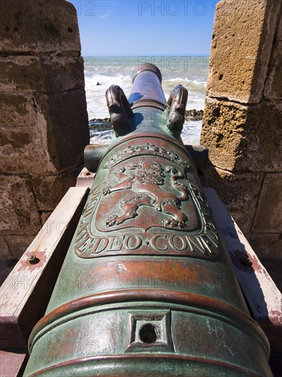 Cannon on fortification