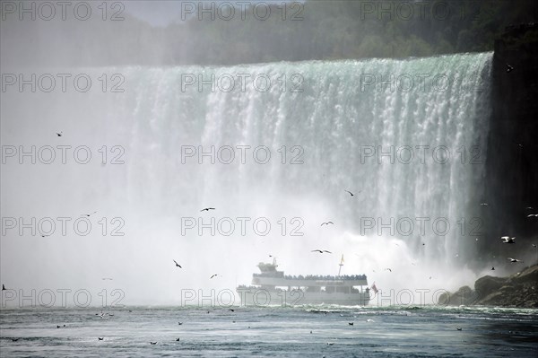 Horseshoe Falls