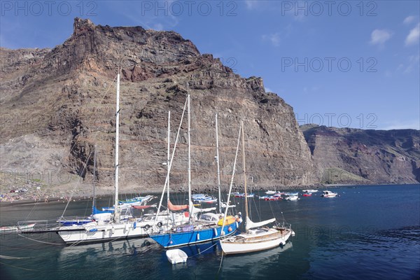 Sailing boats in the harbour