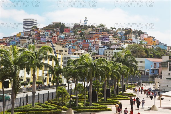 Colourful houses in the Las Penas district