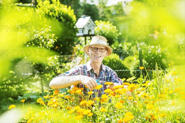 Gardener