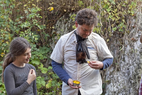 Man with Fruit Bat (Pteropodidae) around his neck