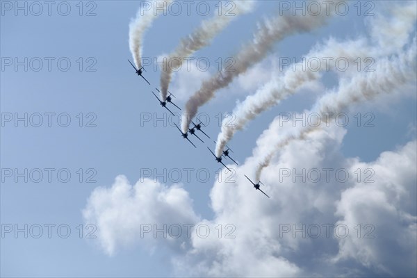 The Canadian Forces Snowbirds aerobatic team air show