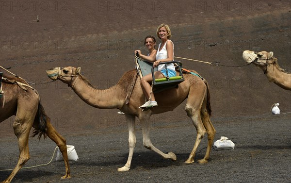 Tourists riding on a dromedary