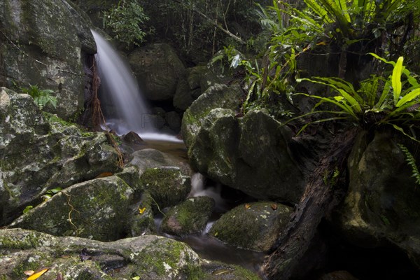 Waterfall on Nosy Mangabe