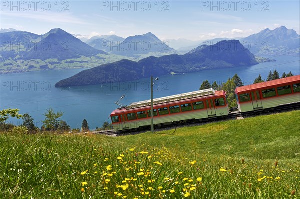 Rack railway to the Rigi