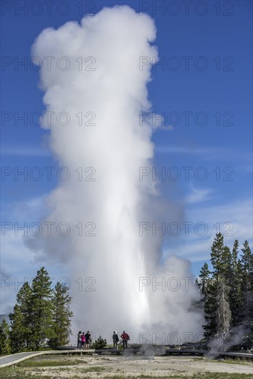 Grand Geyser