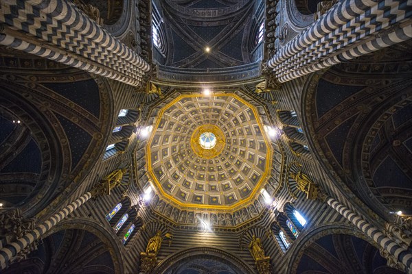 Ornate ceiling