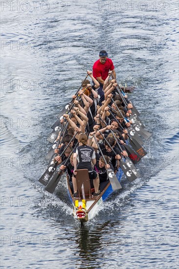 Dragon boat regatta