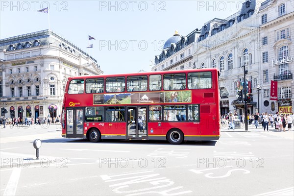 Red double-decker bus
