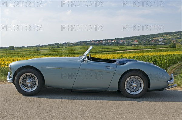 Austin-Healey 3000