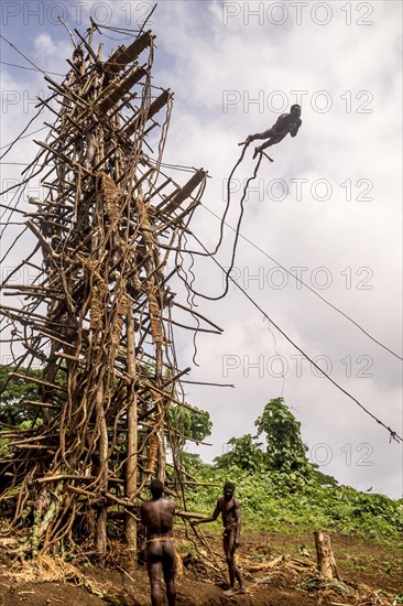 Land diver jumping