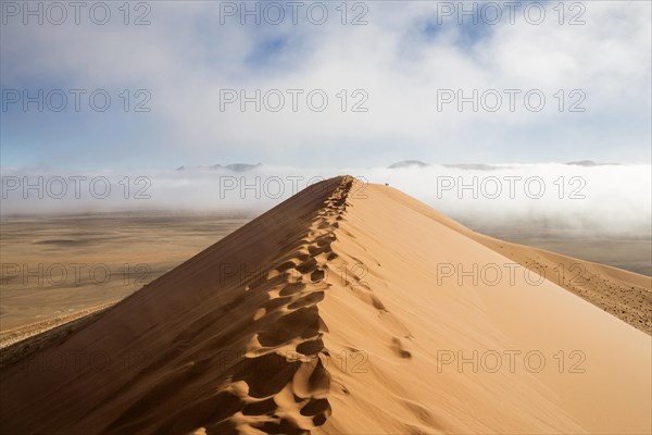 Dune 45 with morning fog