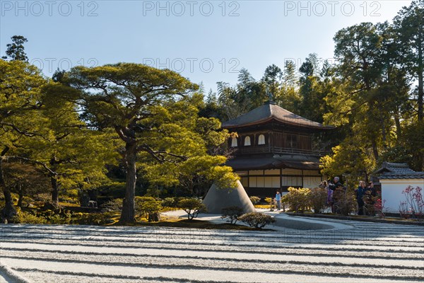 Rock garden