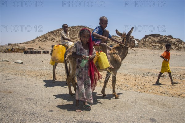 Children with a donkey on the way to a waterhole