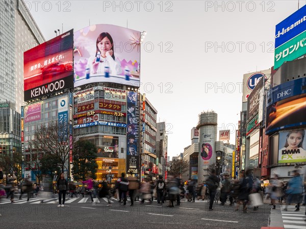 Shibuya Crossing