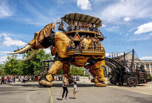 The Great Elephant of Nantes