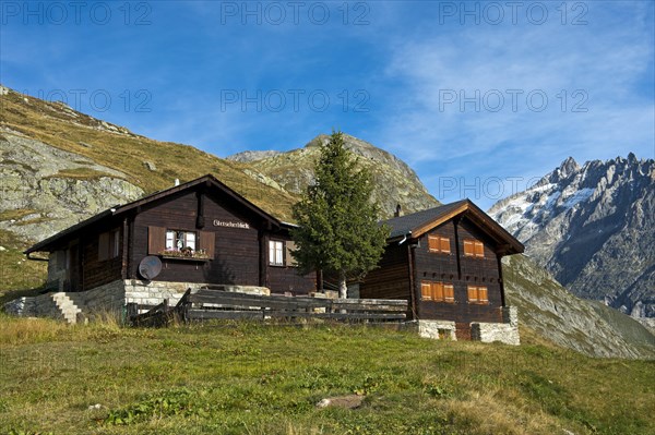 Swiss Chalets on an alp