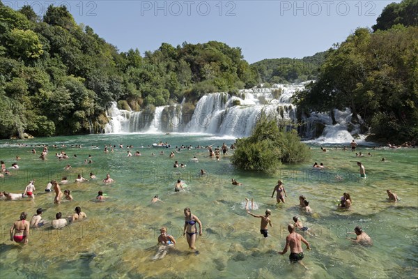 People swimming in front of a waterfall