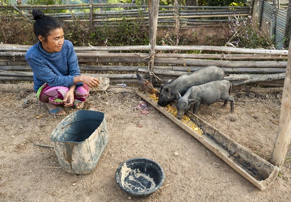 Woman from the Lahu people feeding pigeons