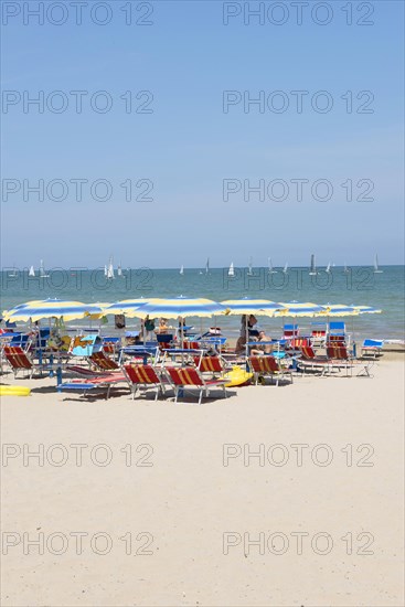 People sunbathing on the beach