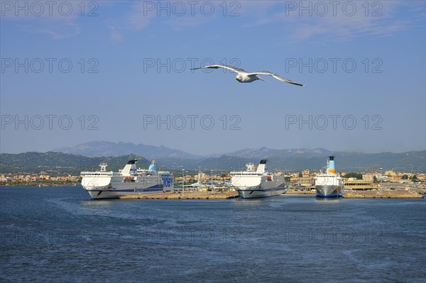 Ferries at the pier in Ferry