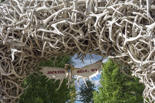 Arch made of wapiti antlers