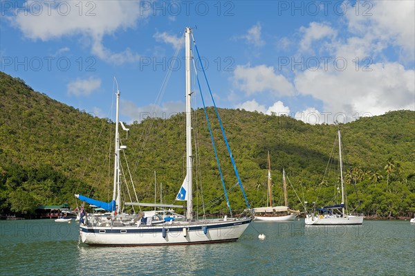 Boats in the harbour