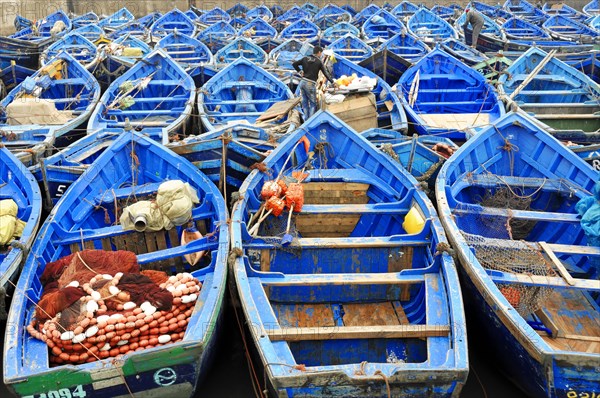 Typical blue fishing boats in the harbor of Essaouira