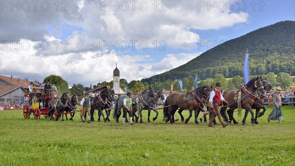 Ten-horse carriage with Noric horses from Abtenau in Salzburg Land