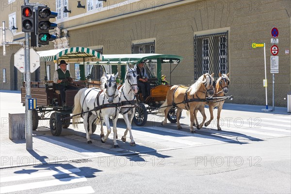 Horse-drawn carriages