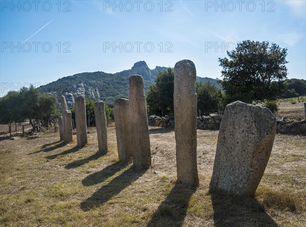 Prehistoric remains of Stantari