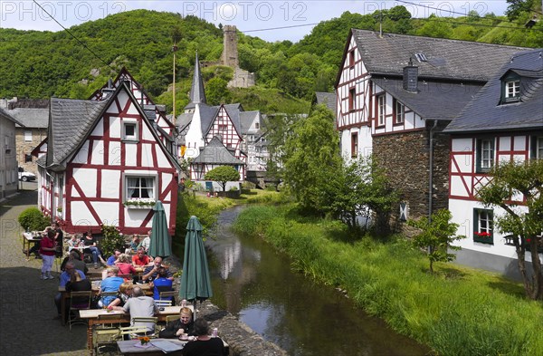 Half-timbered houses