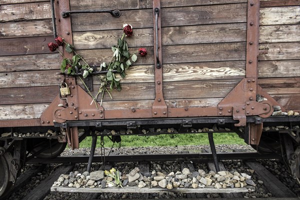 Carriage with roses