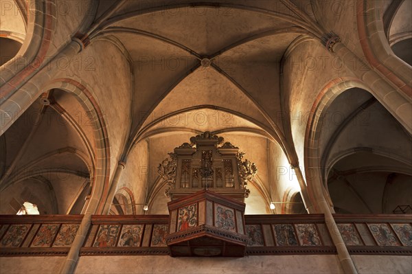 Vaults and organ loft of St. Mary's Church