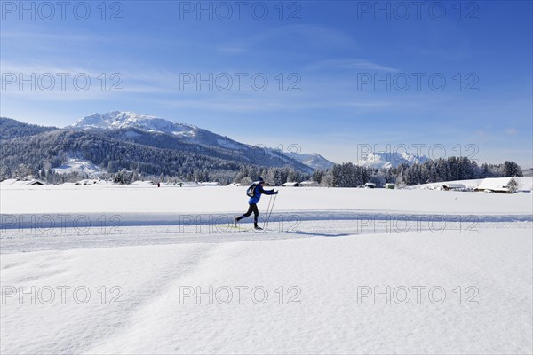 Cross-country skier