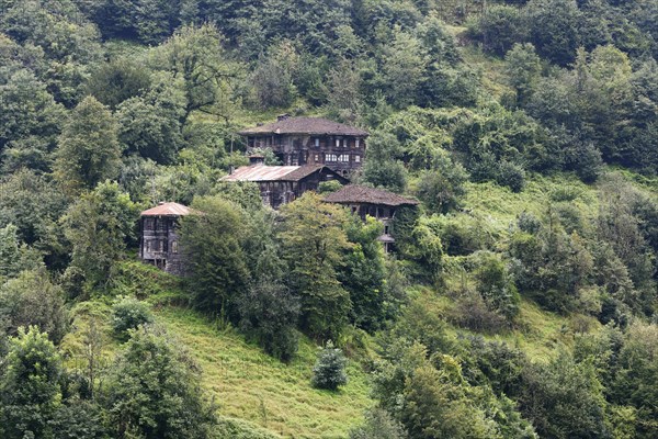 Typical wooden houses